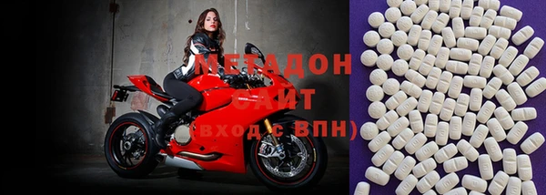 ПСИЛОЦИБИНОВЫЕ ГРИБЫ Осинники