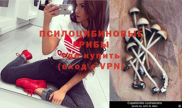 прущие крисы Остров