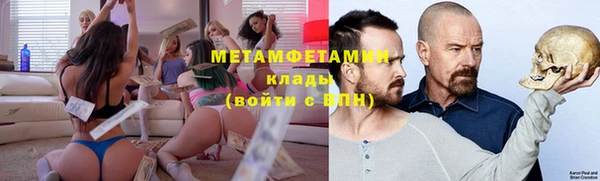 ПСИЛОЦИБИНОВЫЕ ГРИБЫ Осинники