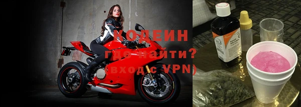 ПСИЛОЦИБИНОВЫЕ ГРИБЫ Осинники