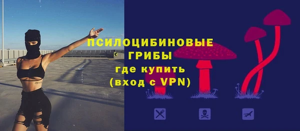 не бодяженный Осташков