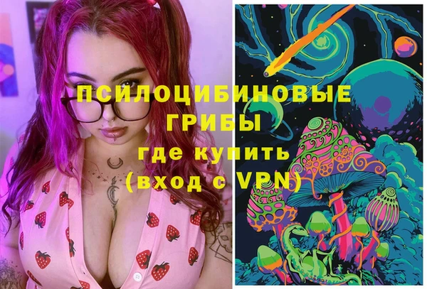 ПСИЛОЦИБИНОВЫЕ ГРИБЫ Осинники