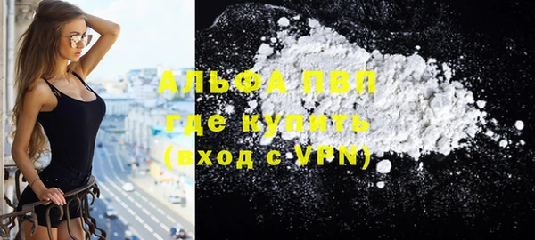 ПСИЛОЦИБИНОВЫЕ ГРИБЫ Осинники