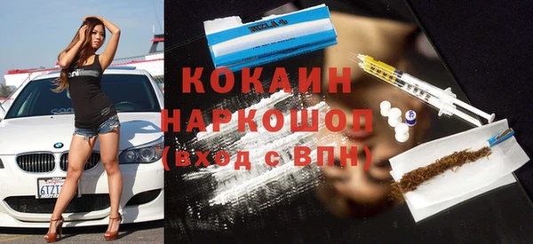 ПСИЛОЦИБИНОВЫЕ ГРИБЫ Осинники