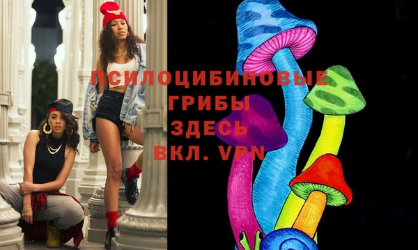 не бодяженный Осташков