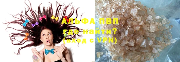 ПСИЛОЦИБИНОВЫЕ ГРИБЫ Осинники