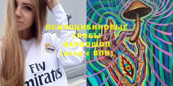 ПСИЛОЦИБИНОВЫЕ ГРИБЫ Осинники