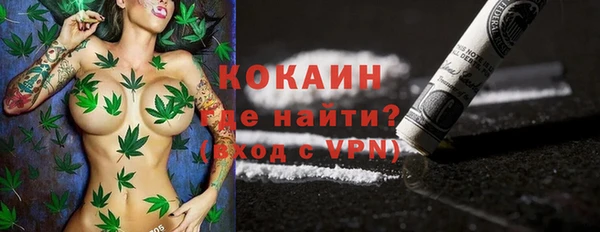ПСИЛОЦИБИНОВЫЕ ГРИБЫ Осинники