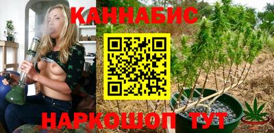 дурь Гай