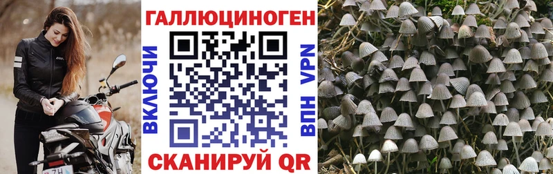 как найти наркотики  OMG ТОР  Галлюциногенные грибы мицелий  Обнинск 