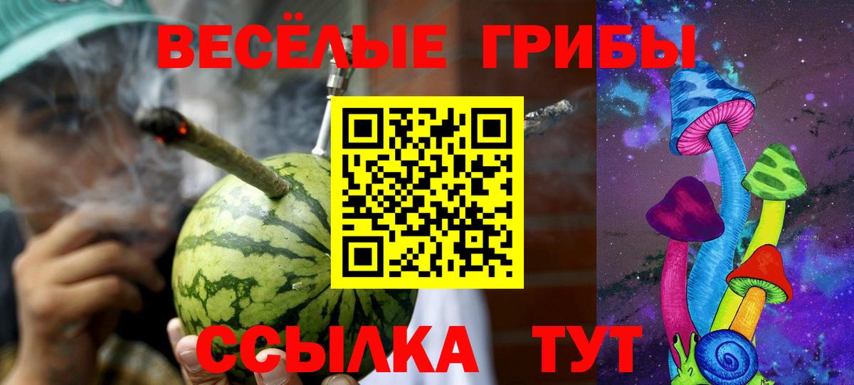 Галлюциногенные грибы Psilocybe Обнинск
