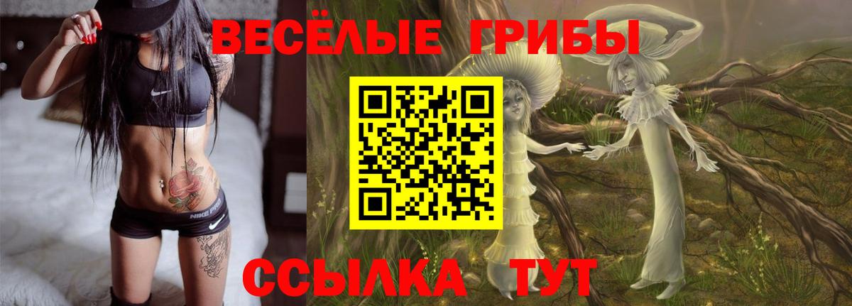 Обнинск  Псилоцибиновые грибы мицелий  Вход с VPN 
